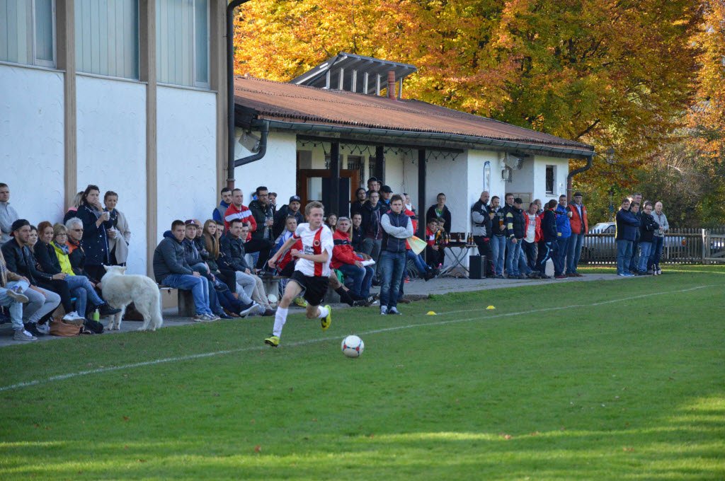 Meister Saison 2015/16