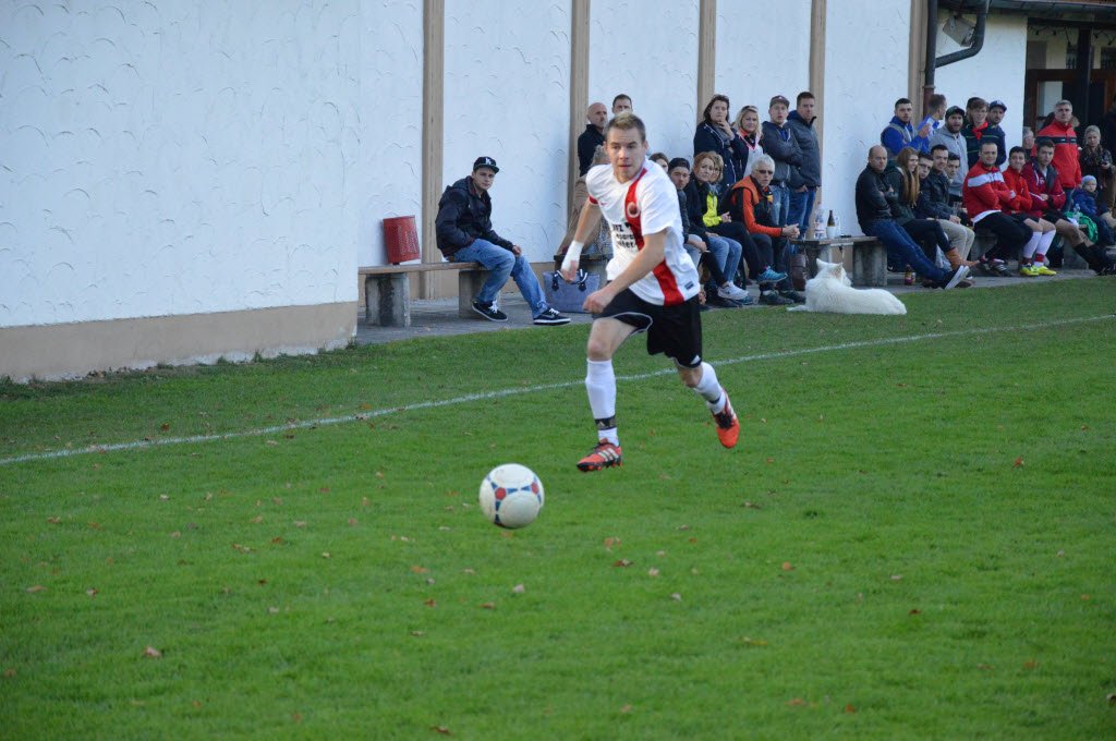 Meister Saison 2015/16