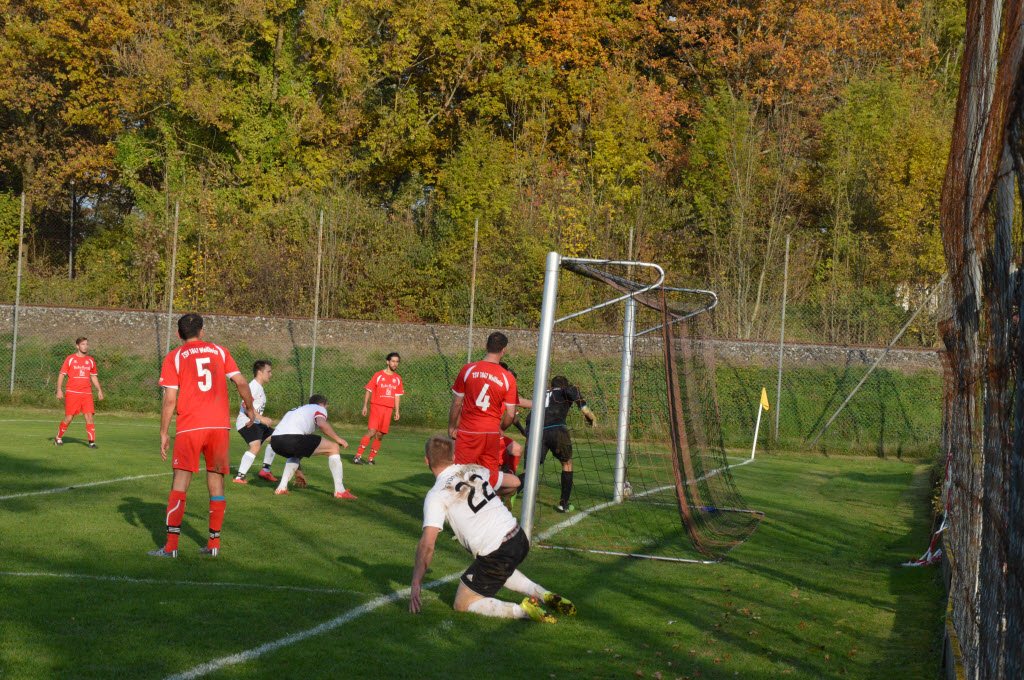 Meister Saison 2015/16