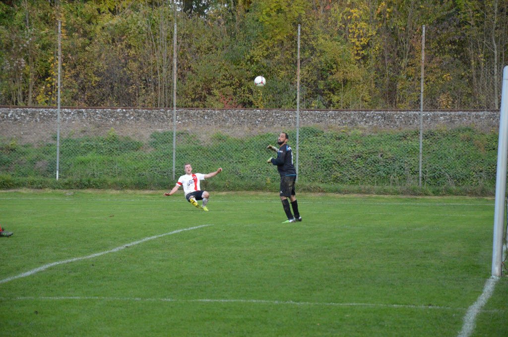 Meister Saison 2015/16