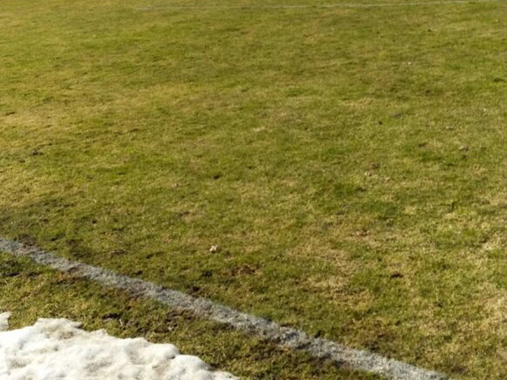 Meister Saison 2015/16