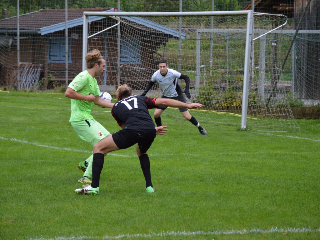 SVU-Bernried (Aug 24)